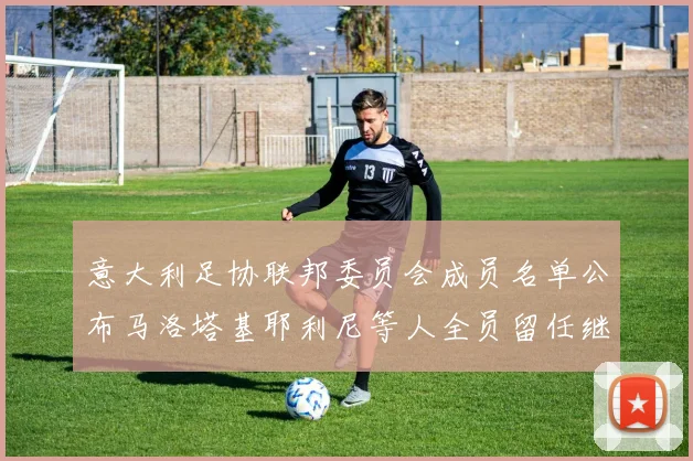 意大利足协联邦委员会成员名单公布马洛塔基耶利尼等人全员留任继续服务