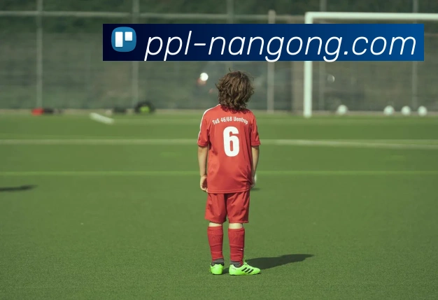 南宫体育APP 封面图