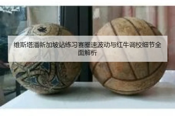 维斯塔潘新加坡站练习赛圈速波动与红牛调校细节全面解析